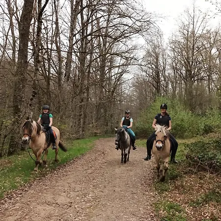 Casa de Férias Happy Sun Flower Virlet
