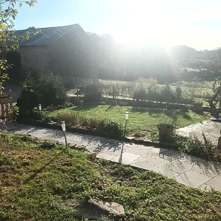 Happy Sun Flower * Virlet