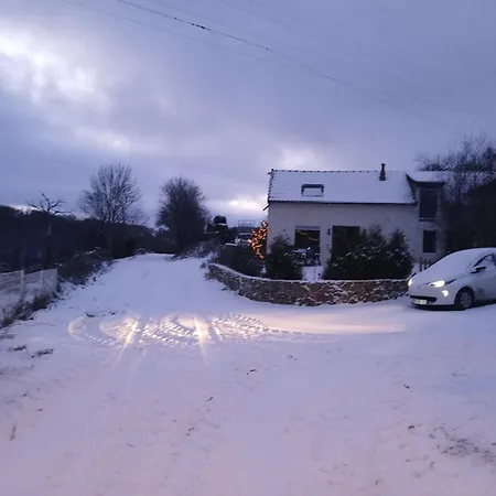 Happy Sun Flower Virlet