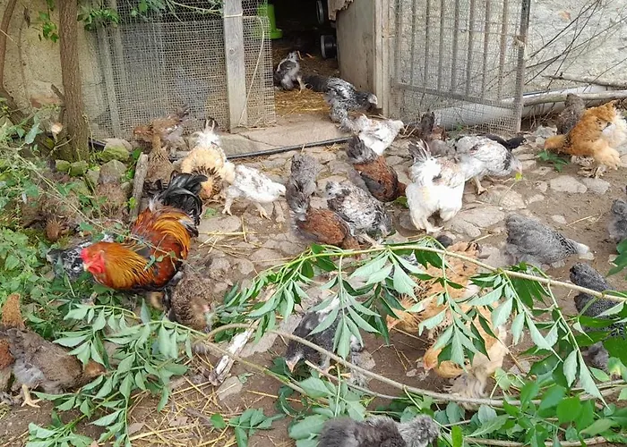 Happy Sun Flower 別荘