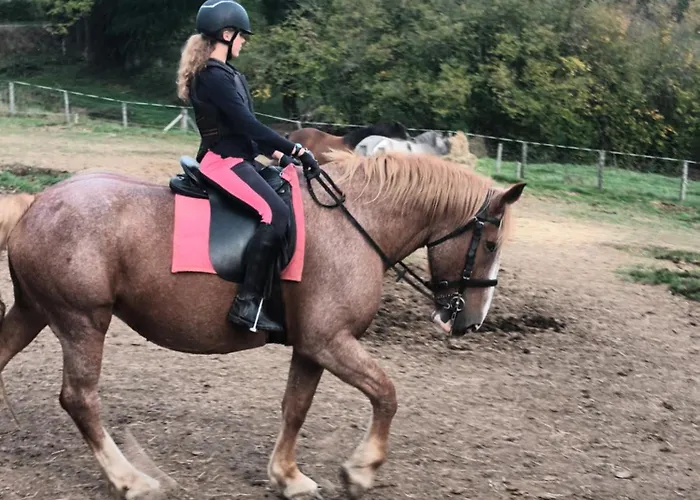 Happy Sun Flower Virlet