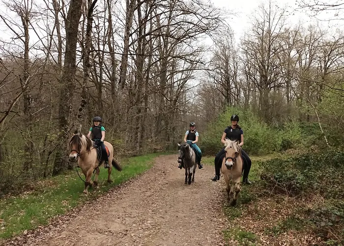 Vakantiehuis Happy Sun Flower Virlet