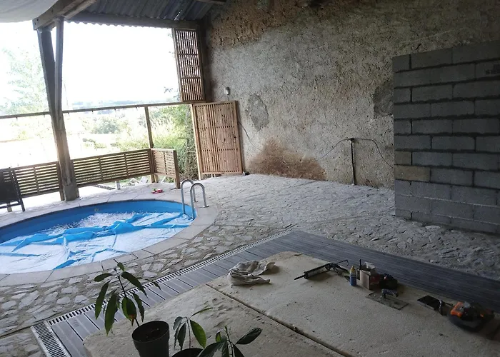 Happy Sun Flower Virlet