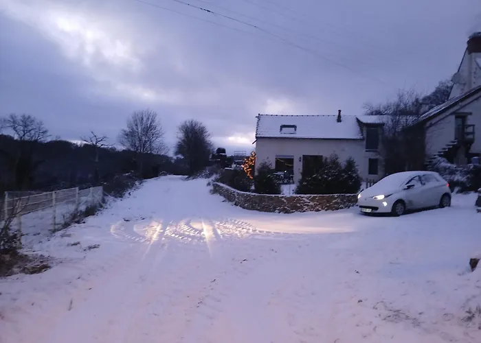 Happy Sun Flower Virlet